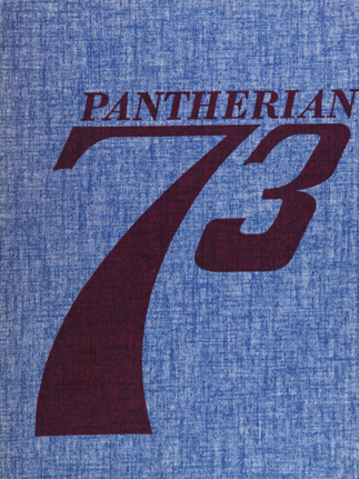 Saegertown High School (Saegertown, PA) 1973 yearbook cover