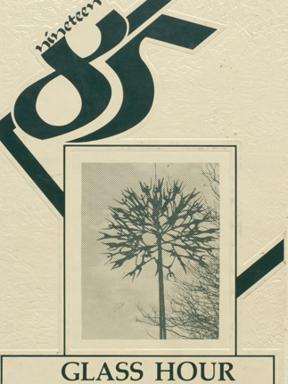 Wilde Lake High School (Columbia, MD) 1985 yearbook cover