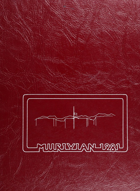 Brookline High School Yearbook 1981