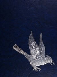 high school yearbook photo 8