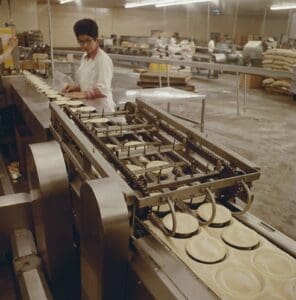 Woman Working At Food Processing Plant