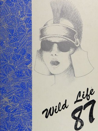 Stoneham High School Yearbook Cover 1987